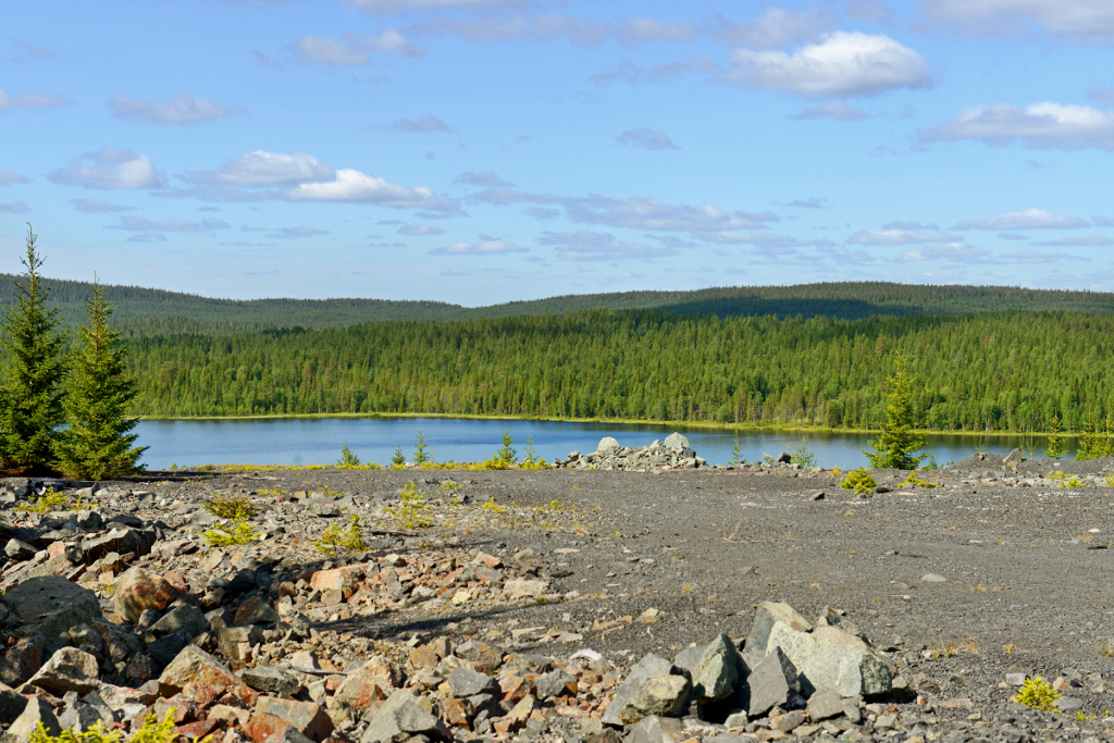 Finland Ready to Ride the Green Energy Wave