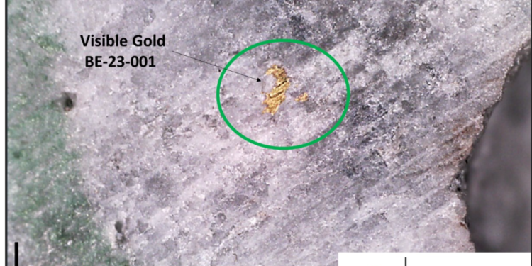 Exploits Discovery Observes Visible Gold in Two Drill Holes