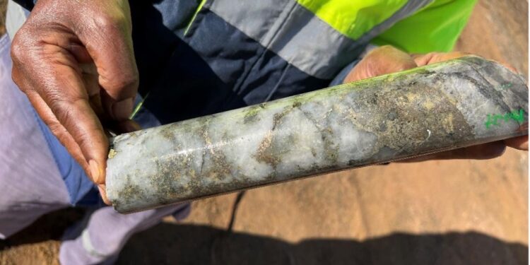 Torque Identifies Mineralized Zones at Paris Gold Project