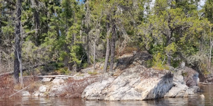 Midas Minerals returns up to 1.68% Li2O from Greenbush Lithium Project, Canada