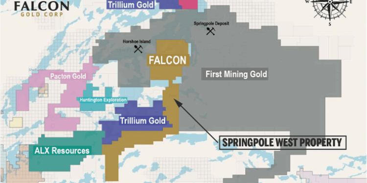 Falcon Mobilizes Crews at Springpole West