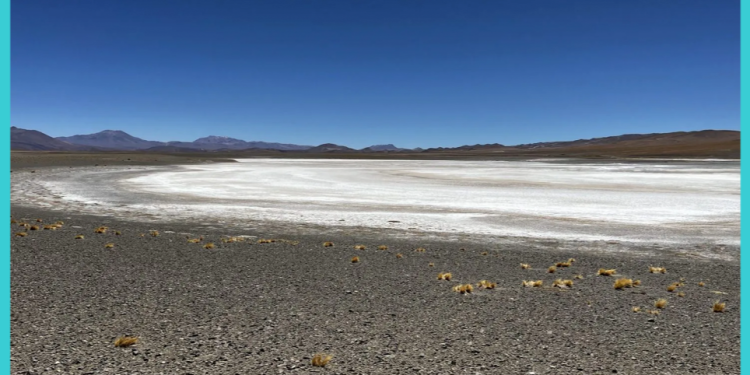 Patagonia Lithium Granted 15 High Priority Lithium and REE Concessions