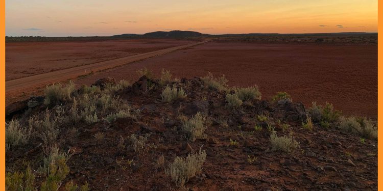 Metal Hawk Confirms New Gold Discoveries at Leinster South