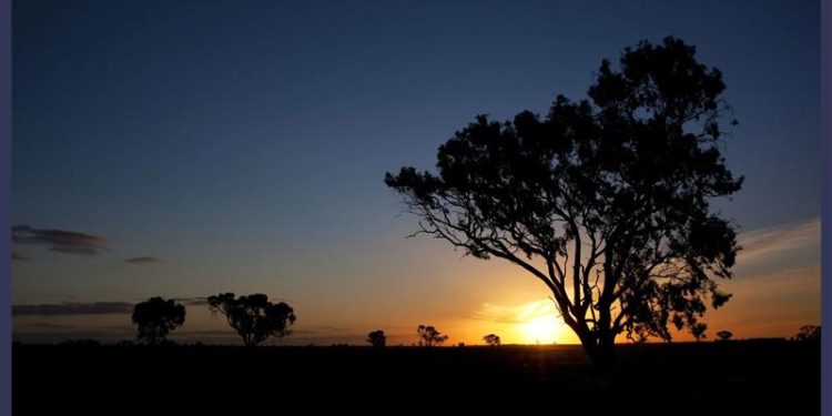 West Cobar Metals Achieves ‘Excellent’ Antimony Leach Results